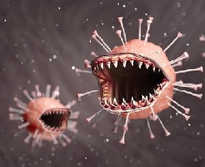 Тайны коронавируса